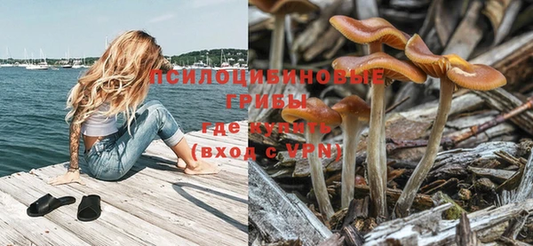 apvp Белоозёрский