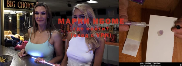 бошки Белокуриха